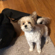 Brody14