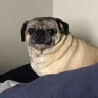 Victor