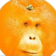 Experi