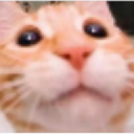 Orb